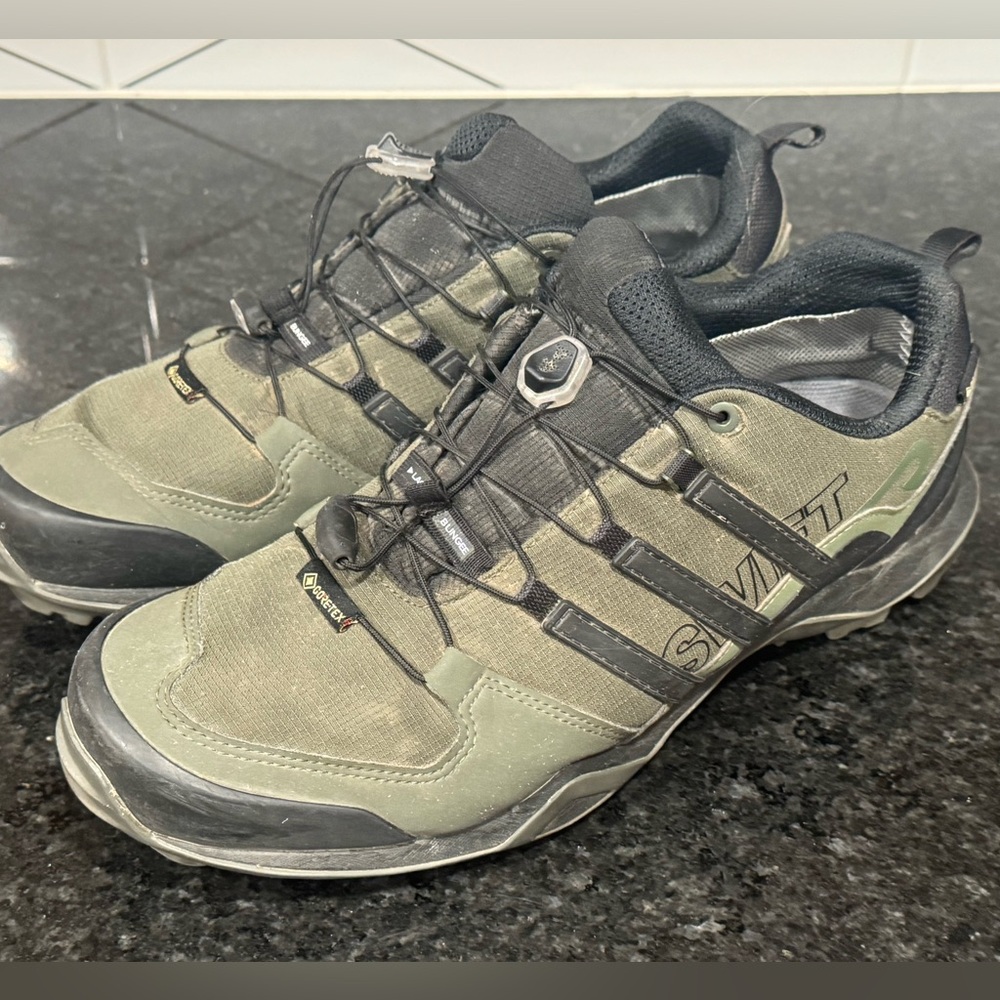 Adidas Terrex swift Gortex shoes